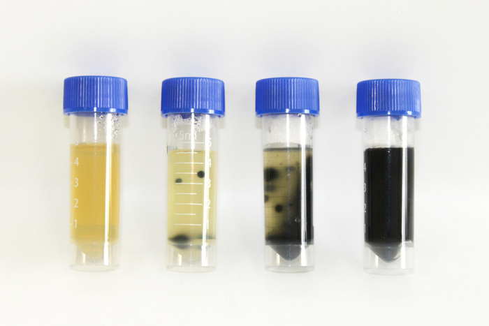      ( )    .            - ,  .