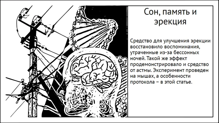 Эксперимент со сном и подручные препараты, что восстанавливают воспоминания - Моё, Мозг, Исследования, Научпоп, Эксперимент, Сон, Память, Длиннопост