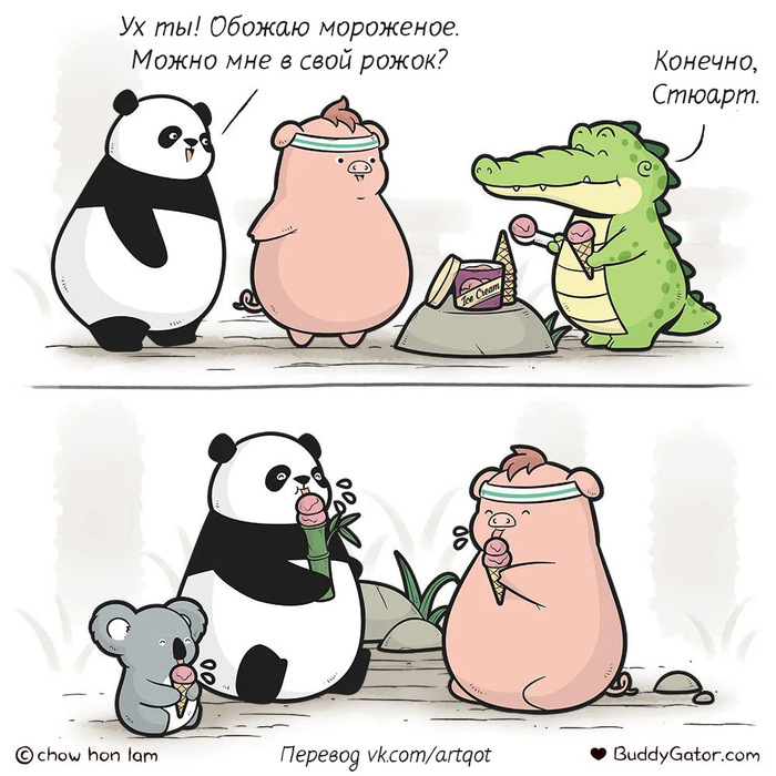  ,  , , , , , , , , Buddygator