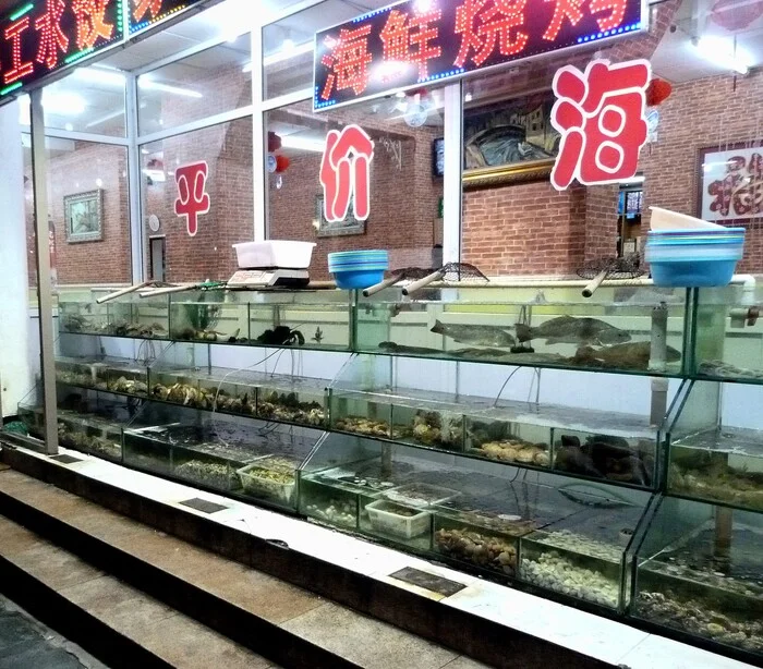 24-hour live seafood store in Baidaihe - The photo, Tourism, Yellow Sea, Seafood