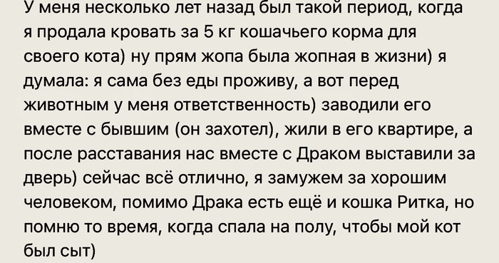 Ответственность перед котиком