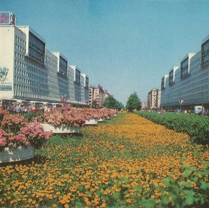 Post #11552014 - Leningrad, Moscow avenue, the USSR, Telegram (link), Made in USSR, Childhood in the USSR, Retro, Flowers, Heat, Summer, Film, 70th, Old photo