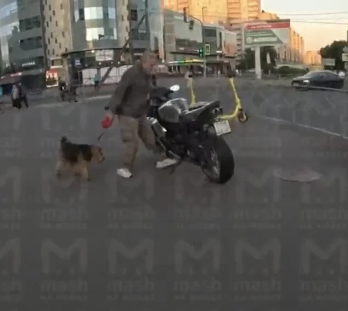 Reply to the post “A motorcyclist hit a 78-year-old pensioner at a pedestrian crossing” - Negative, Saint Petersburg, A pedestrian, Incident, Violation of traffic rules, Road accident, Video, Longpost, Telegram (link), Repeat, Reply to post