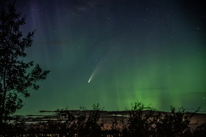 Do they destroy life or carry it? What is known about asteroids - said an expert from Perm Polytechnic University - My, Nauchpop, Space, Asteroid, Meteorite, Dinosaurs, Longpost