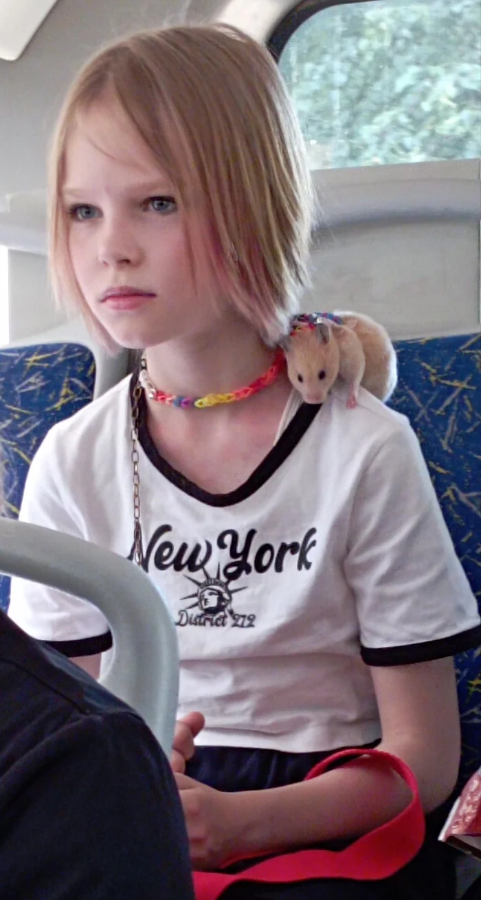 Girl with a fighting hamster - My, Animals, Heat, Tver, Mobile photography, Transport, Nothing unusual