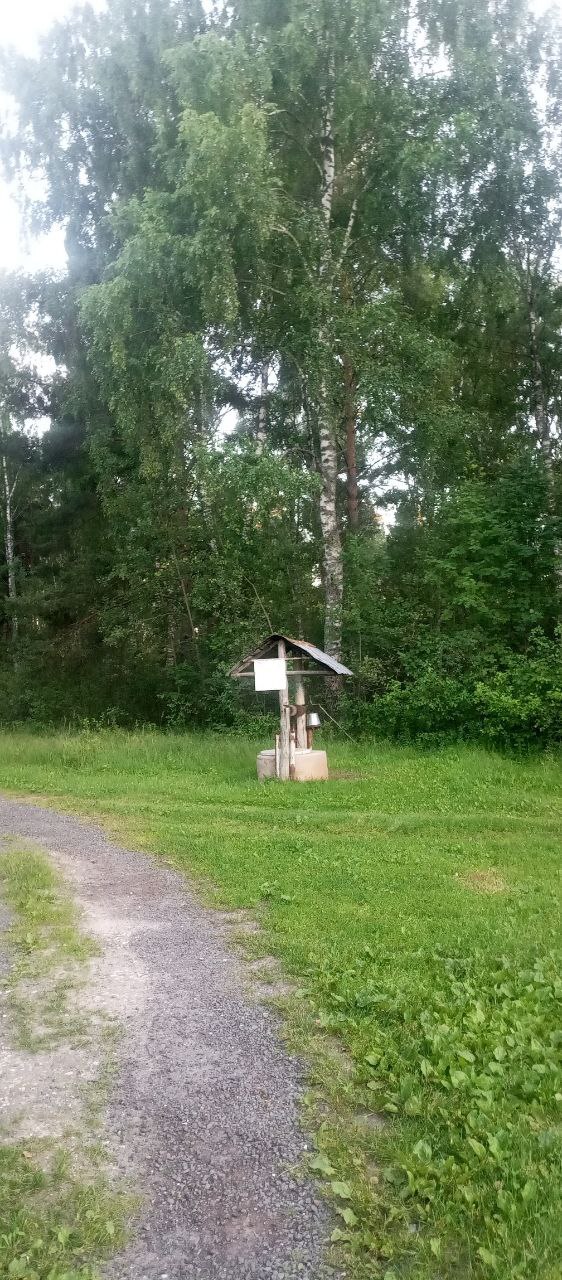 Our dacha, it’s beautiful, warm, hot there - Dacha, Heat, Longpost