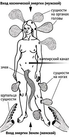 ЭНЕРГЕТИЧЕСКИЕ ПАРАЗИТЫ ! КАК ОТ НИХ ИЗБАВИТЬСЯ ! - Истории из жизни, Вредные привычки, Нервы, Помощь, Паразиты, Видео, YouTube, Мат, Длиннопост