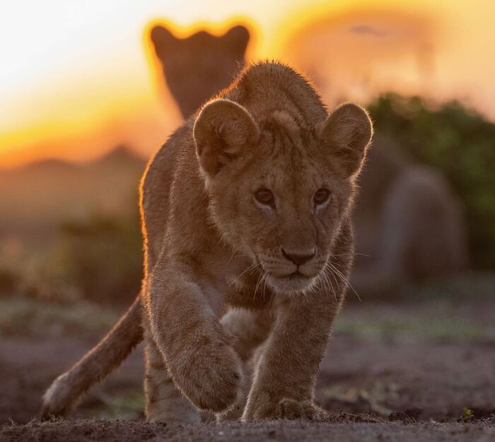 Я иду искать