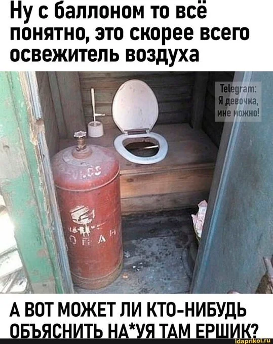 Mysterious rural toilet - Funny, Humor, Screenshot, Picture with text, Toilet, Mat