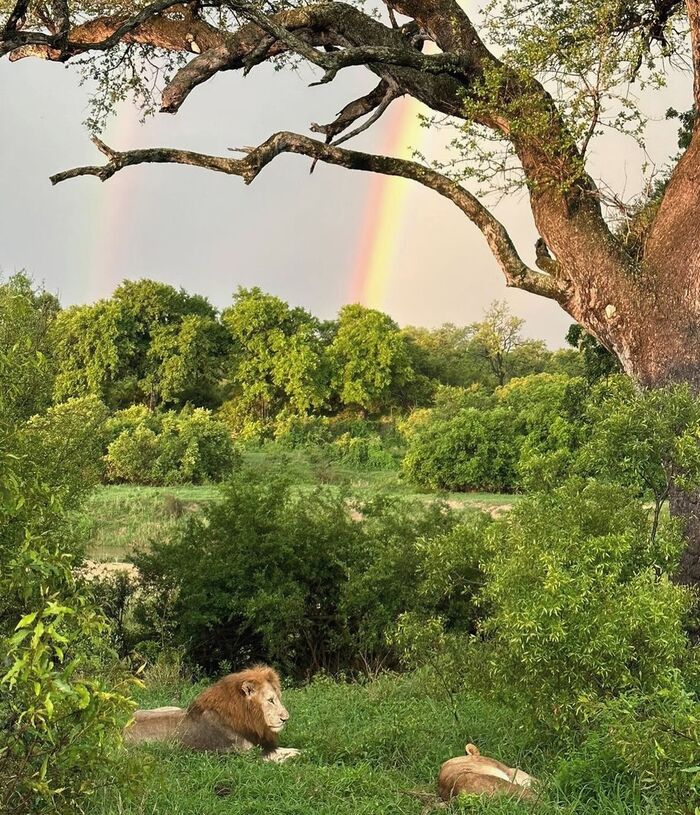 Дорогая, посмотри, какая красота!