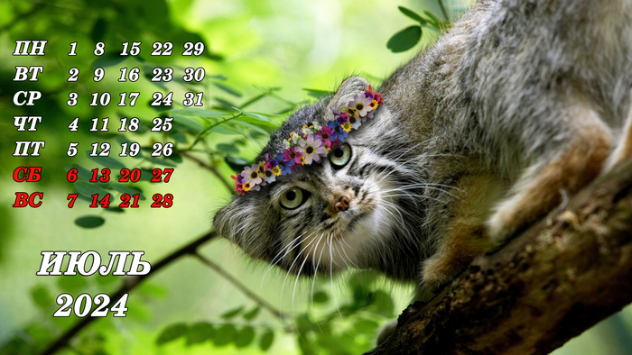 Горизонтальный