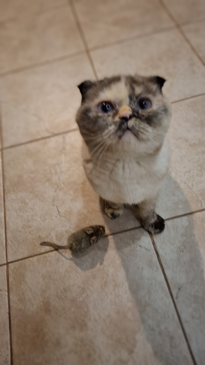    ,  , ,  , 