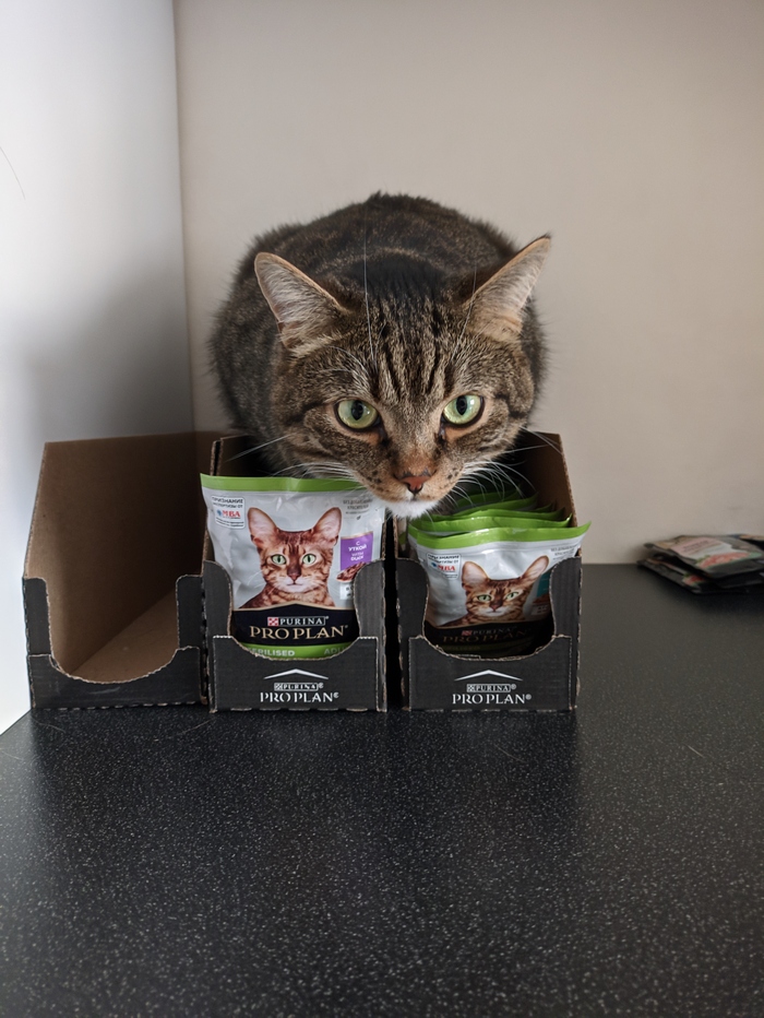 ��� ������ ��� ��� ������ ������