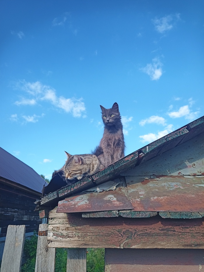 ������ � �����