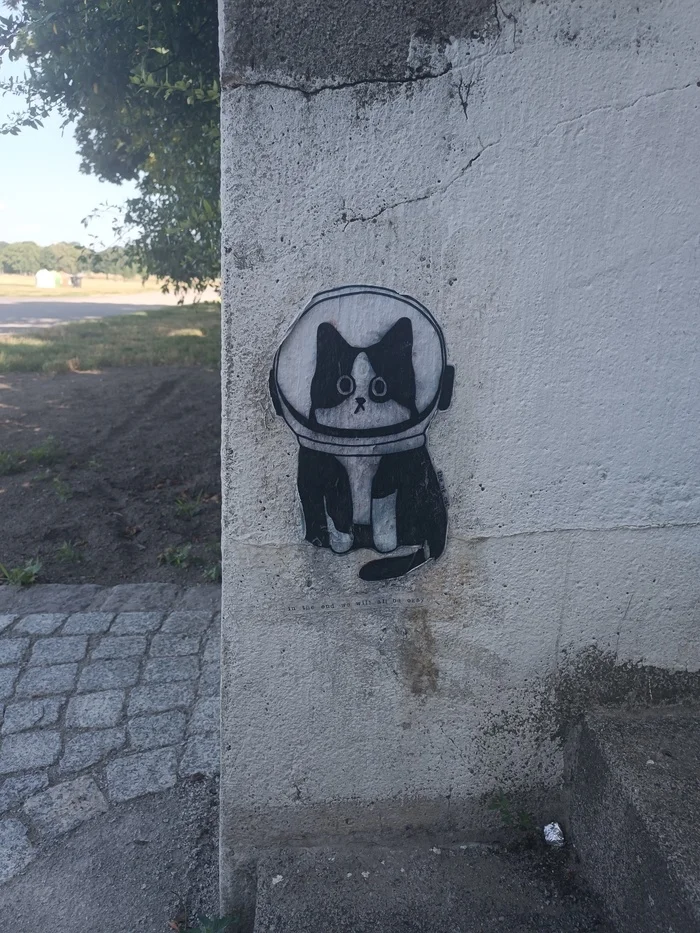 Kotmonaft - My, Berlin, Street art, cat