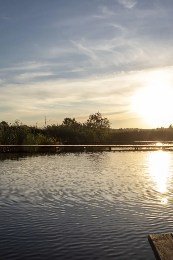 Ponds of Belogorye (Krivtsovo pond Belosetr) - My, Pond, Chistye Prudy, Longpost