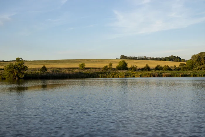 Ponds of Belogorye (Krivtsovo pond Belosetr) - My, Pond, Chistye Prudy, Longpost