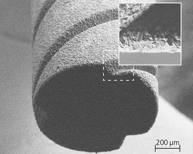 Electron microscope photo 44 - Nauchpop, Electron microscope, Longpost