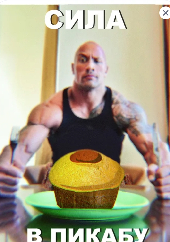Сила Пикабу в действии!