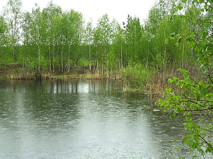 Хмурый денек - Моё, Фотография, Прогулка, Пейзаж, Весна, Дождь