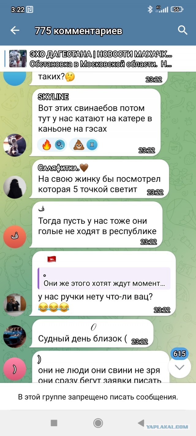 Post #11557282 - Dagestan, Telegram, Video, Vertical video, Comments, Telegram (link), Longpost, Mat, Niqab, Negative