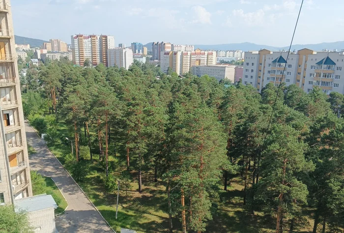 Beautiful - Hospital, Beautiful view, View from the window, 8th floor, Longpost, The photo