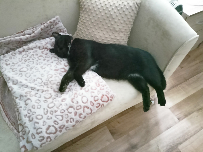 ��������� ����� ����� ����