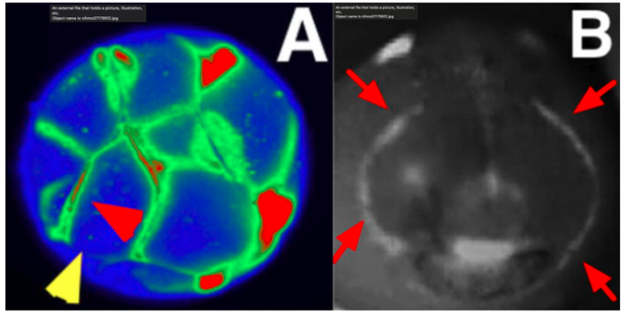 :  ,          16 . B:     ,    -   -   . 