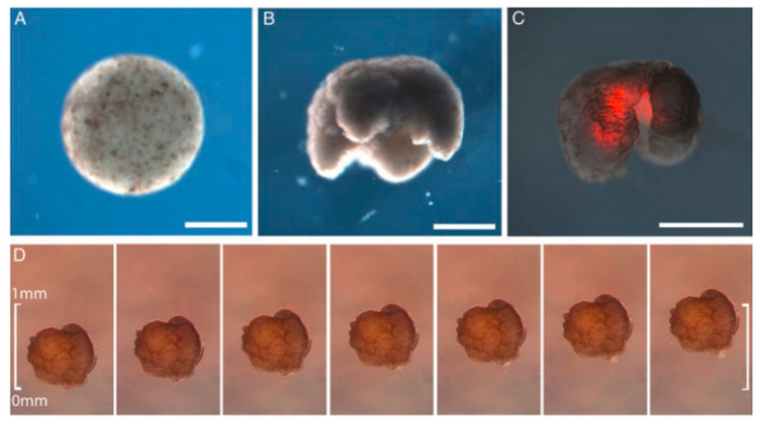  :   ,           ,    .