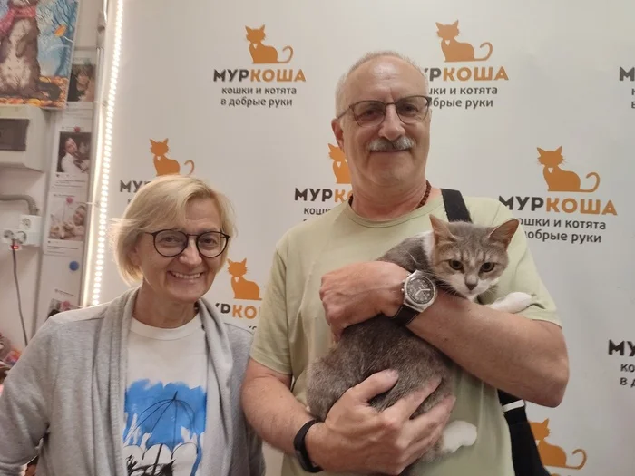 We are glad to share our successes with you - My, cat, Positive, Animal shelter, Murkosh shelter, No rating, Touching, Found a home, Video VK, Video, Longpost