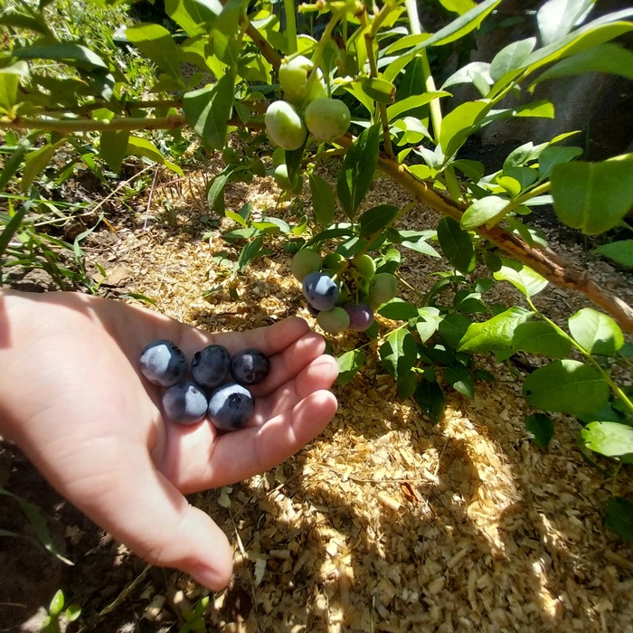 ,     .      ...       .    !