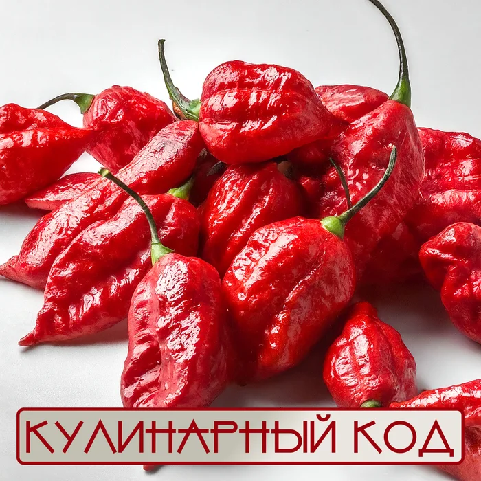 Culinary code: peppers. Naga Jolokia - My, Cooking, Nutrition, Food, Products, Pepper, Acutely, Naga Jolokia, Facts, Curiosity, Hot, Longpost