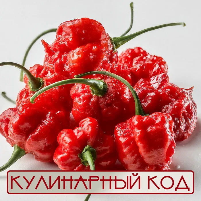 Culinary code: peppers. Carolina Reaper - My, Nutrition, Cooking, Food, Products, Pepper, Acutely, Facts, Carolina Reaper, Longpost