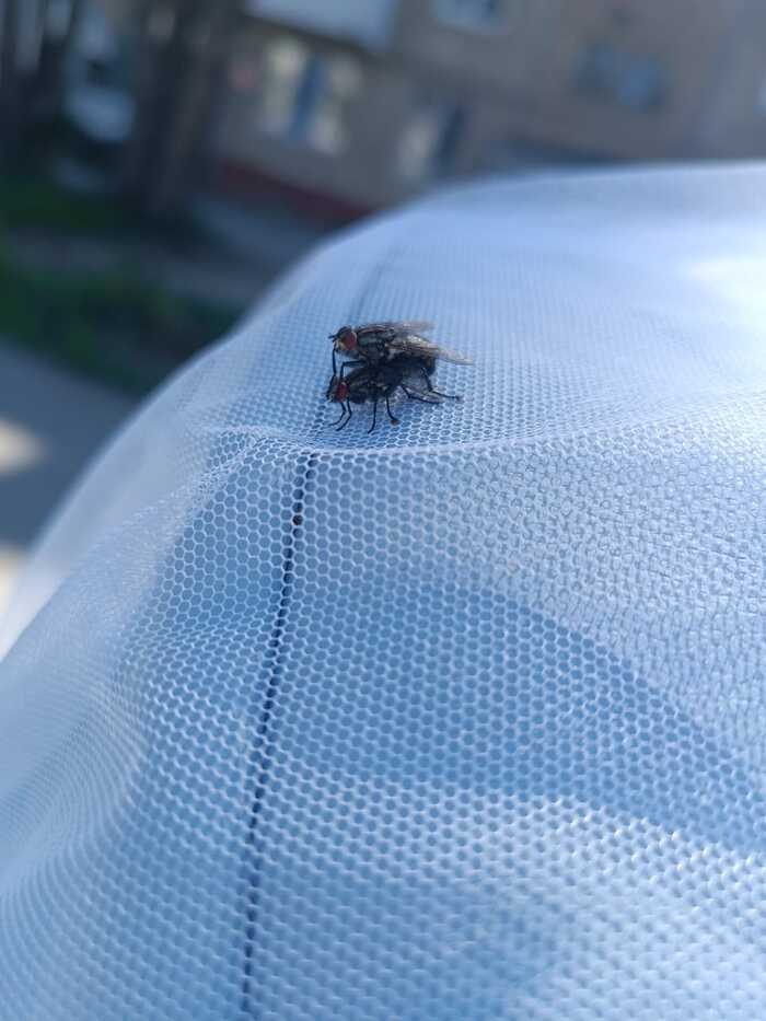 ������� ����� ����� �� ������� ����