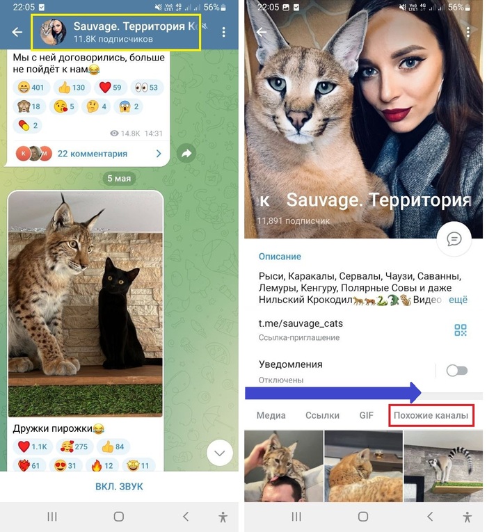 �������� �������������� ���� ��������� �� ����: �����, ������, ����������, GIF.