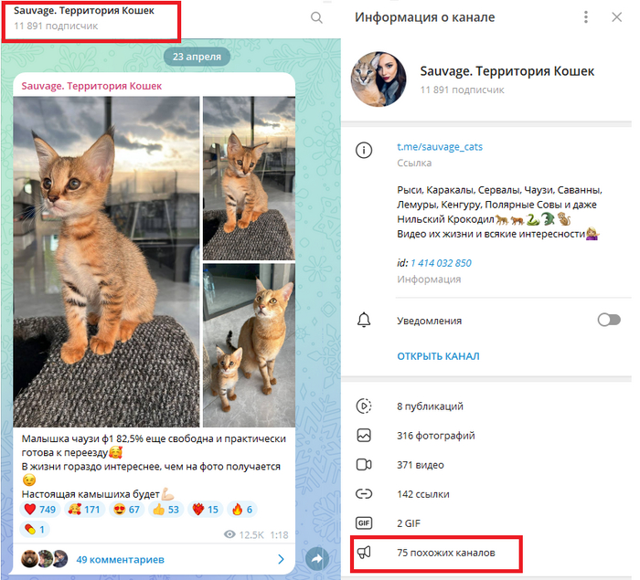 �������� ��� ���� ����, �� ��� ���, ���� �� �������� ����� "������� ������" ��� "���������� ������� �������".