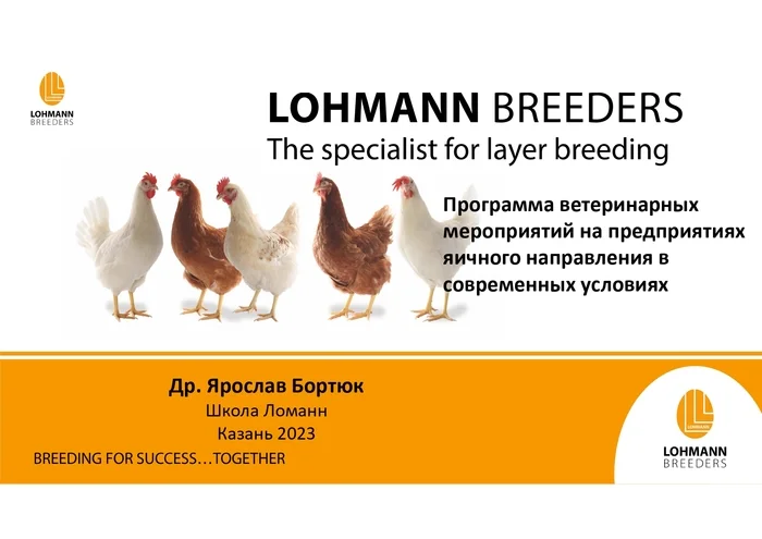 Программа ветеринарных мероприятий на предприятиях яичного направления в современных условиях - Сельское хозяйство, Курица, Деревня, Telegram (ссылка), Птицы, Длиннопост
