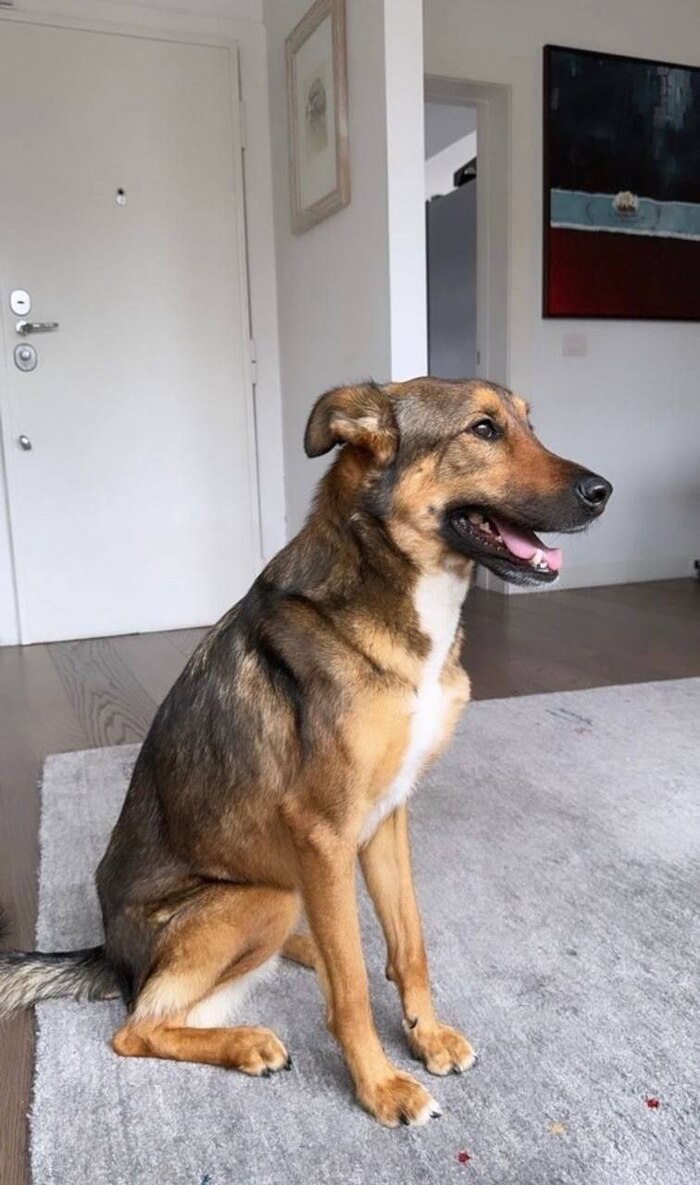 ������ ���� 