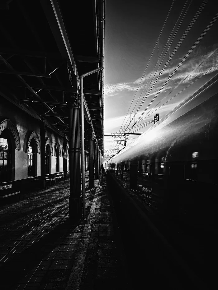 It's time to hit the road - My, Peregrine falcon, Street photography