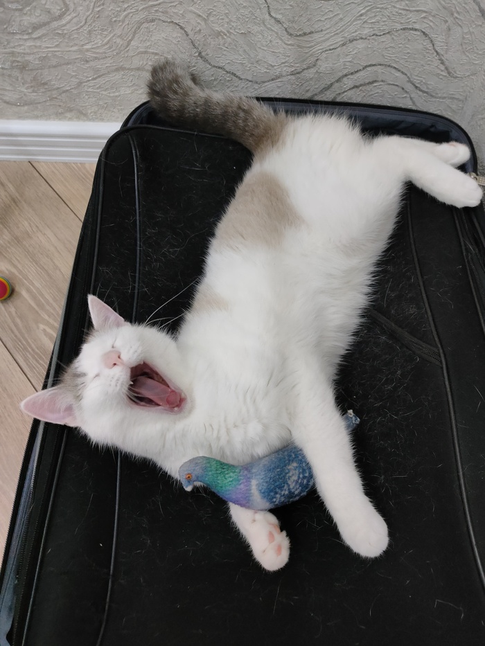  ! , , ,  , ,  