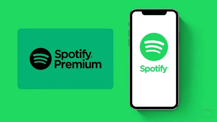 How to buy Spotify Premium subscription in Russia in 2024 - Instructions, Subscriptions, Hyde, Purchase, Music, Service, Appendix, Spotify, Windows, Android, Services, iPhone, Company Blogs, Longpost