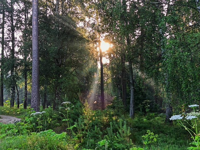 ��� ������ ��������