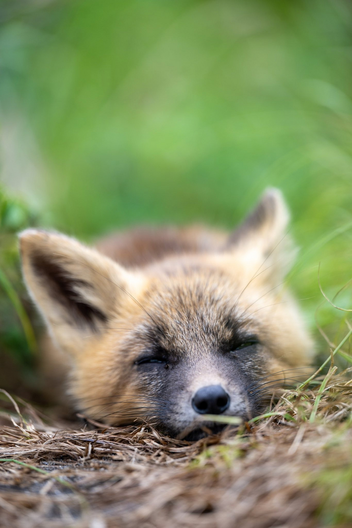 �� ���� ����������