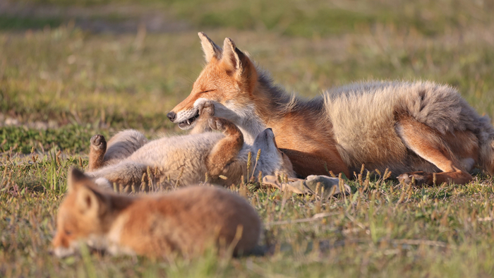 ������ � �����