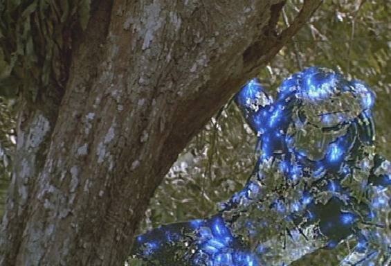 Хотите чтоб вашу жену не видели?