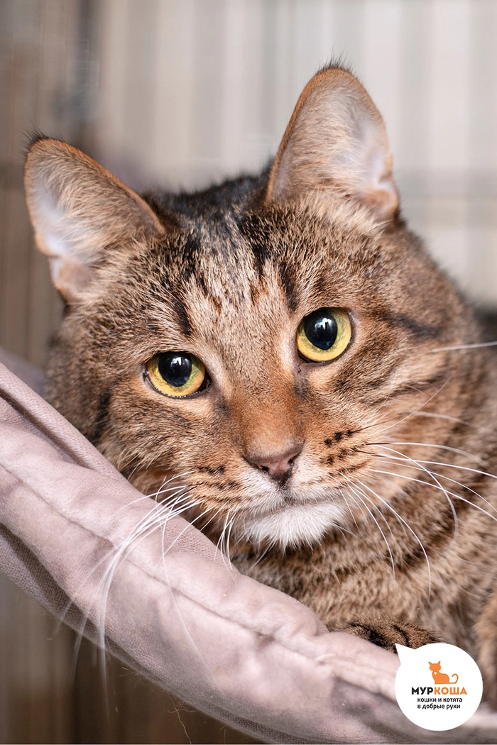  ˨ ,          (). ˨          , !