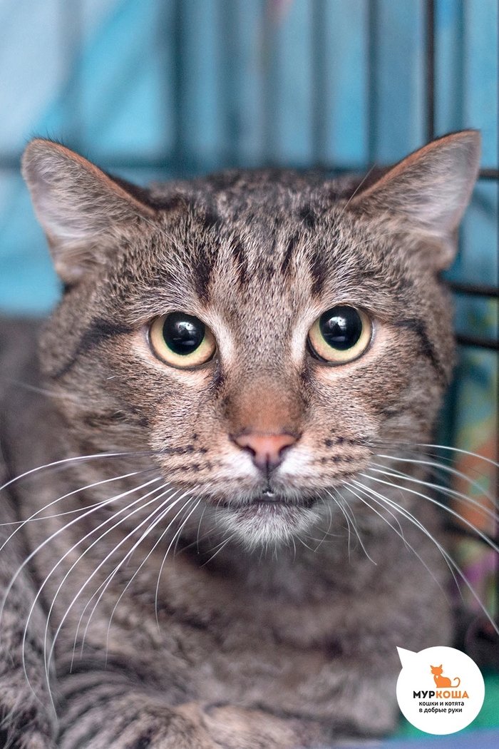     .     ,    .    ,     .