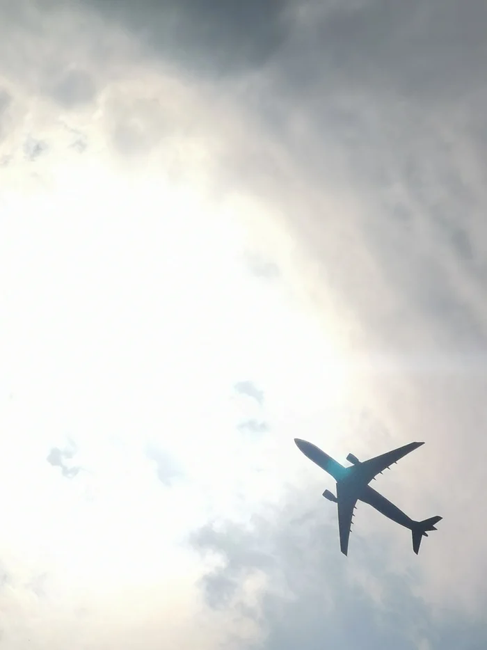 Flying over the crown's nest - My, Sky, Airplane, The photo