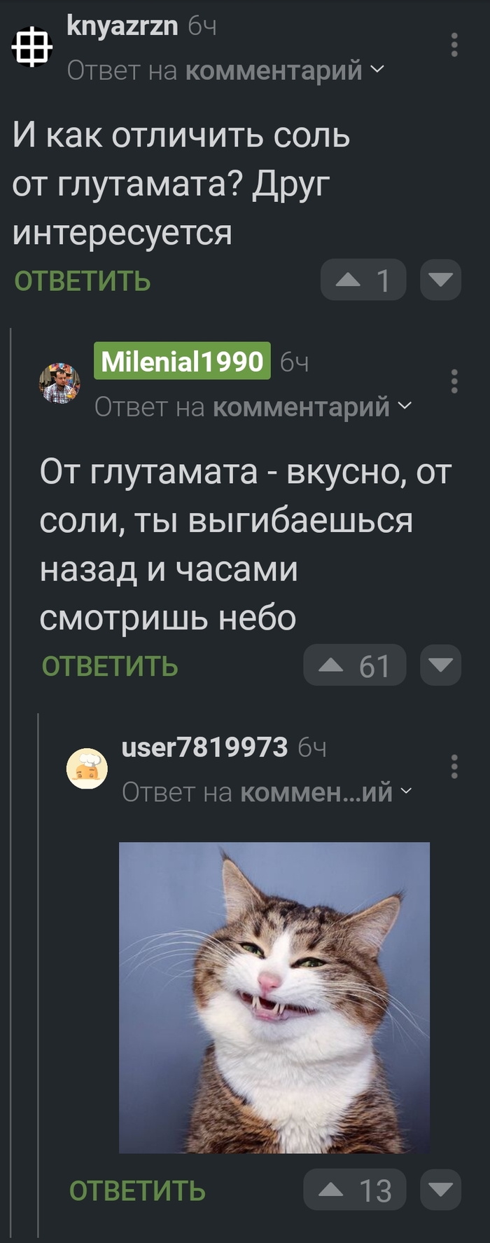 Поваренная соль: истории из жизни, советы, новости, юмор и картинки —  Горячее | Пикабу