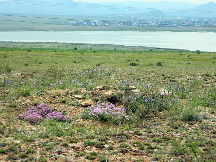 � ���� ��������� �� ��� �����, �� ����� ����� ������ ����� ����� � ������� ������� �� ���.